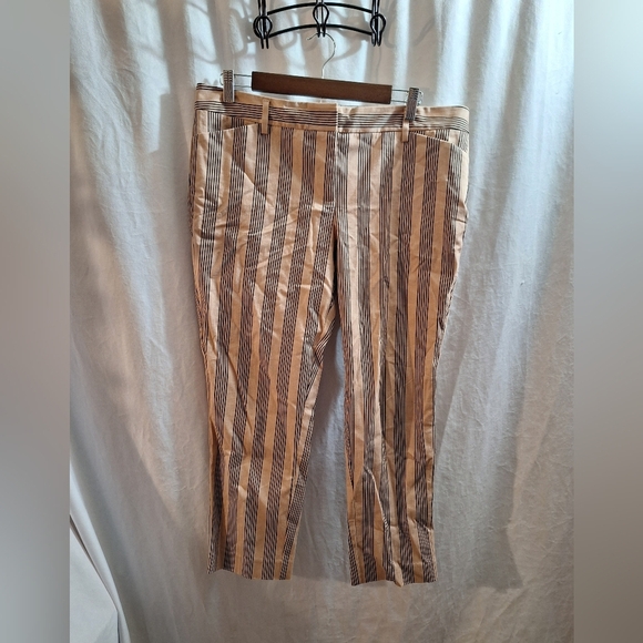 Worthington Petite Slim Ankle Striped Pants Size 10p - Picture 1 of 4